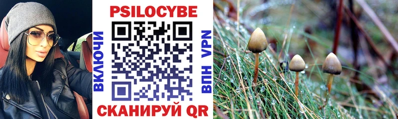 Галлюциногенные грибы Psilocybe  Купить где  Райчихинск 